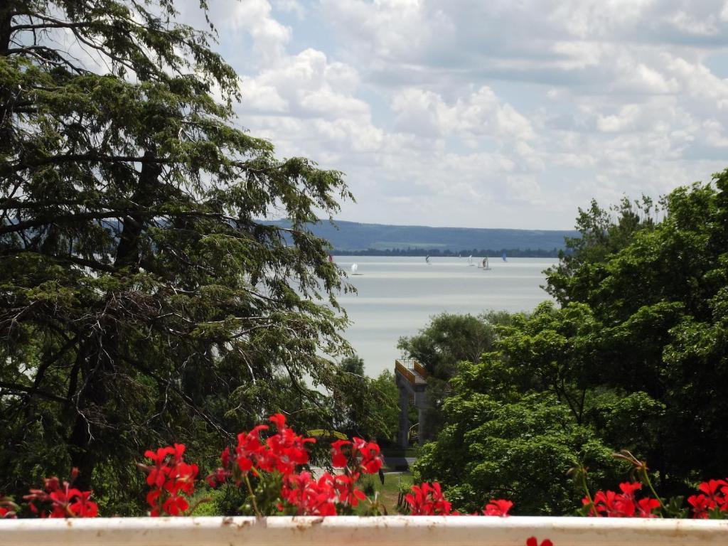 Sir David Balaton Castle Apartmanok Balatonszepezd Zewnętrze zdjęcie