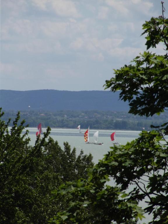 Sir David Balaton Castle Apartmanok Balatonszepezd Zewnętrze zdjęcie