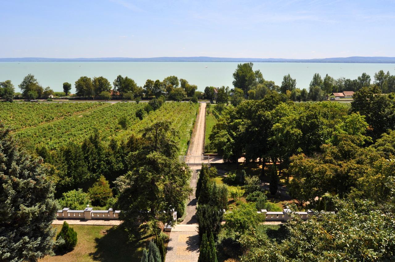 Sir David Balaton Castle Apartmanok Balatonszepezd Zewnętrze zdjęcie